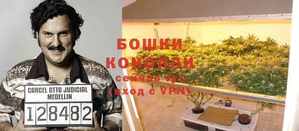 МДПВ Козельск