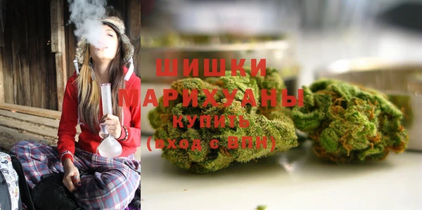 МДПВ Козельск