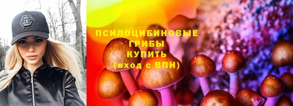 МДПВ Козельск