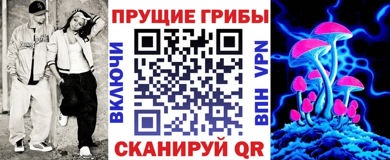где можно купить   Домодедово  Галлюциногенные грибы Cubensis 