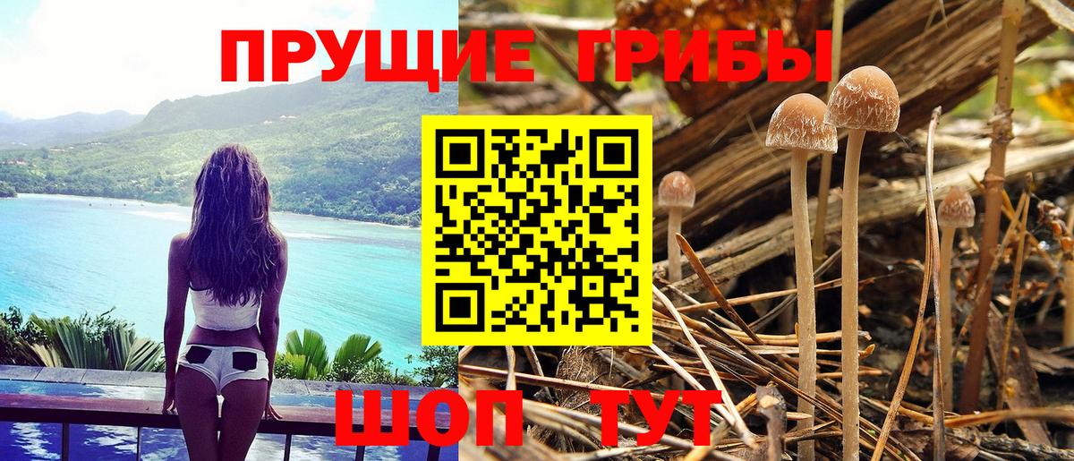 Галлюциногенные грибы ЛСД  дарнет шоп  Домодедово  Вход с VPN 