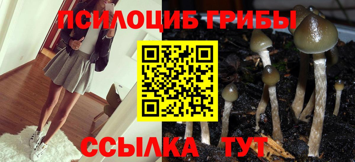 Галлюциногенные грибы прущие грибы  продажа наркотиков  Домодедово 
